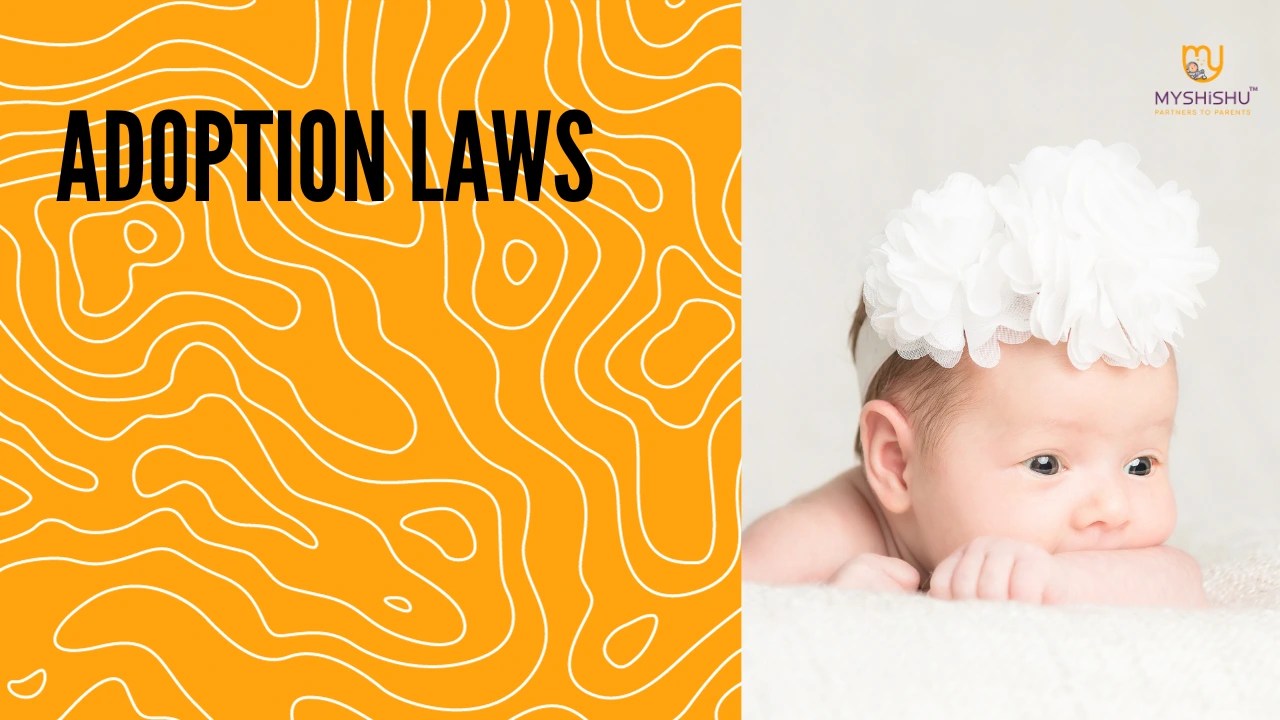 Adoption Laws MyShishu