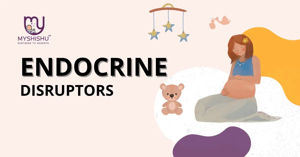 Endocrine Disruption During Pregnancy A Comprehensive Guide