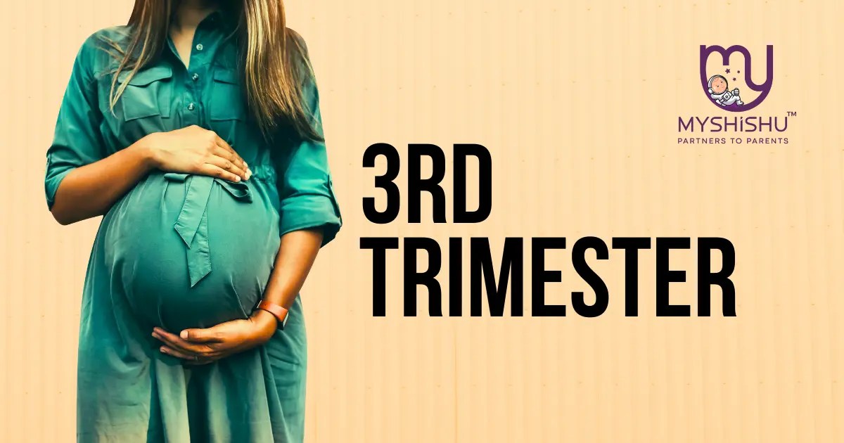 3rd Trimester Pregnancy A Comprehensive Guide MyShishu