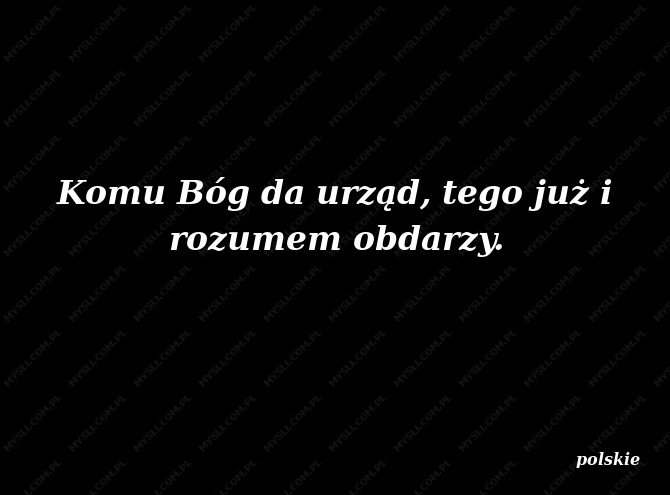 rozum Wyniki Szukania •