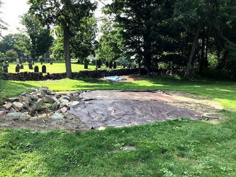 Volunteers sought for Library garden supporting native pollinators
