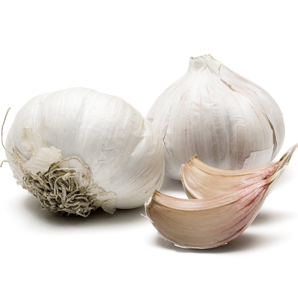 The Difference Between Garlic Powder and Granulated Garlic MySpicer