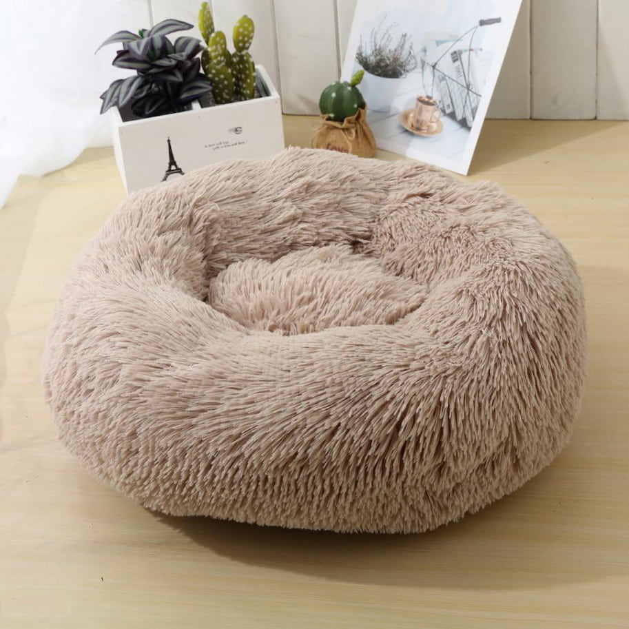 Choosing the Right Cat Bed for Your Feline My Study Notes Plush Cat