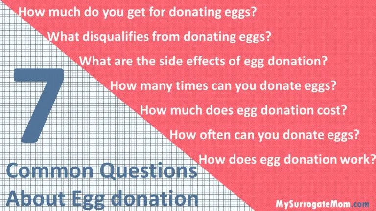 How to Donate Eggs? The Egg Donation Process MySurrogateMom