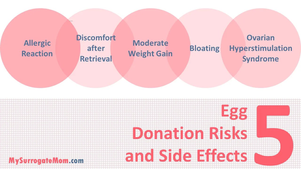 How to Donate Eggs? The Egg Donation Process MySurrogateMom