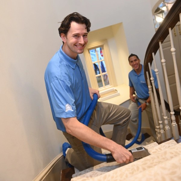 Best Local Carpet Cleaning BBB A+ Technicare Carpet Cleaning