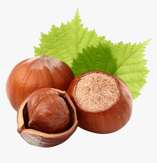 Hazelnuts Powder Reviews Result In Pakistan My