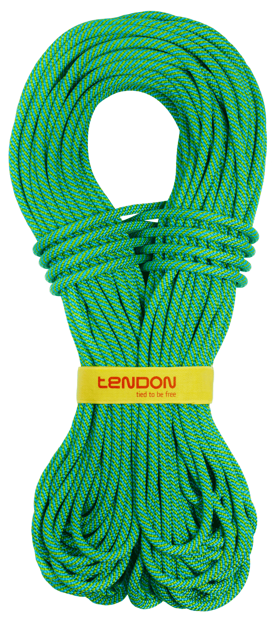 Dynamic ropes MyTendon
