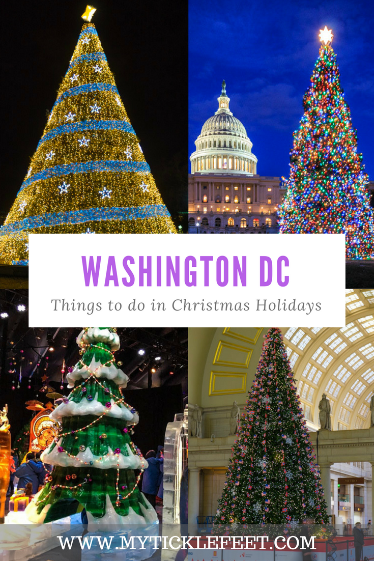 Things to do in DC in Christmas My Ticklefeet