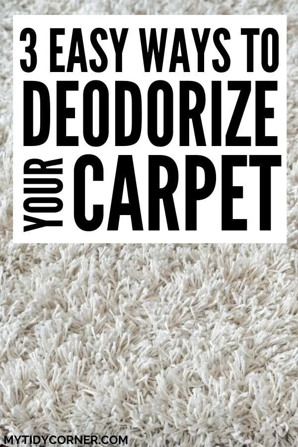 How to Deodorize a Carpet Say Bye to Carpet Odors