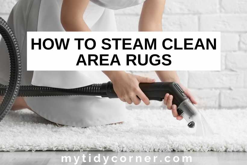 Steam Cleaner For Couch And Rugs at Sharon Grayson blog