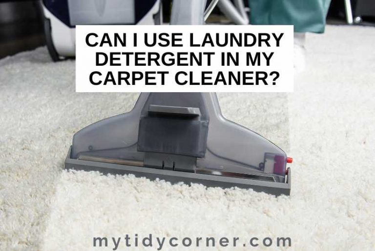 Can I Use Laundry Detergent in My Carpet Cleaner