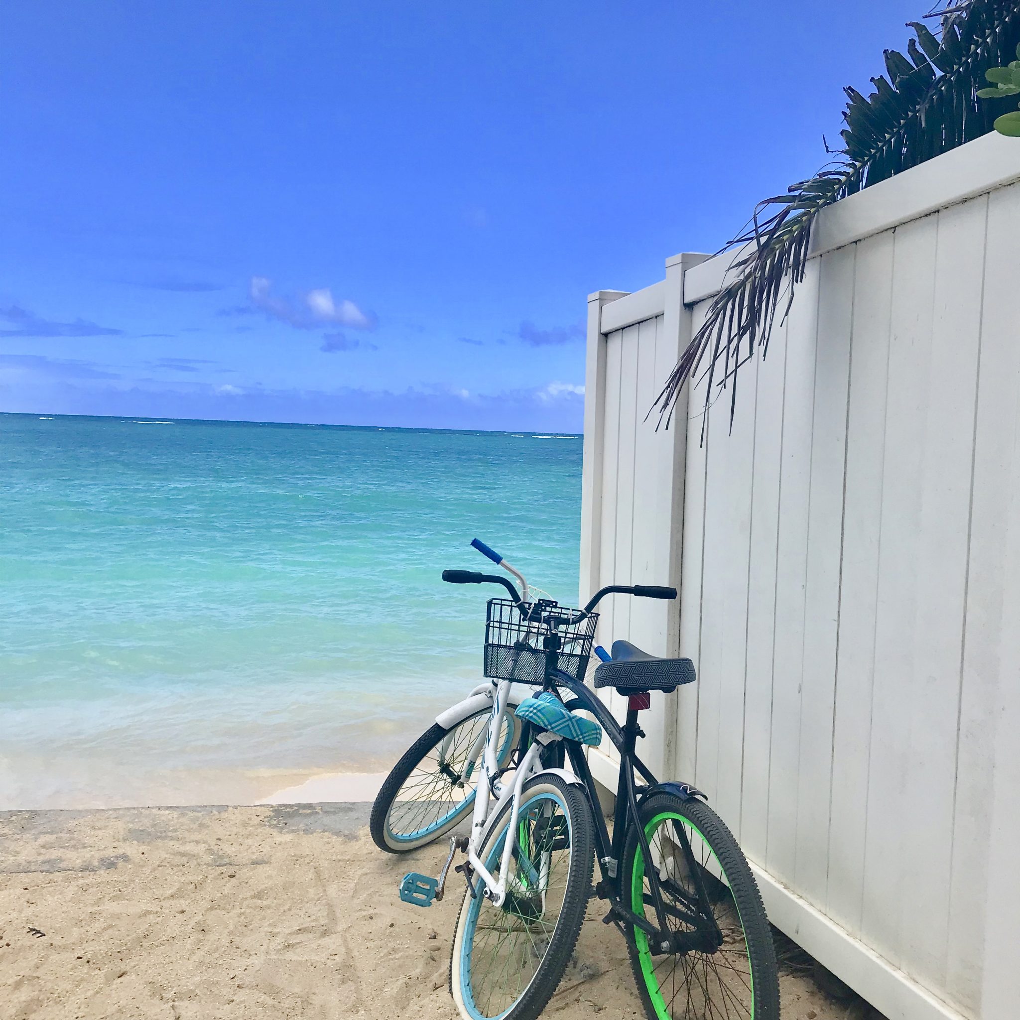 10 Best Things To Do In Oahu, Hawaii With Kids Family Travel Guide