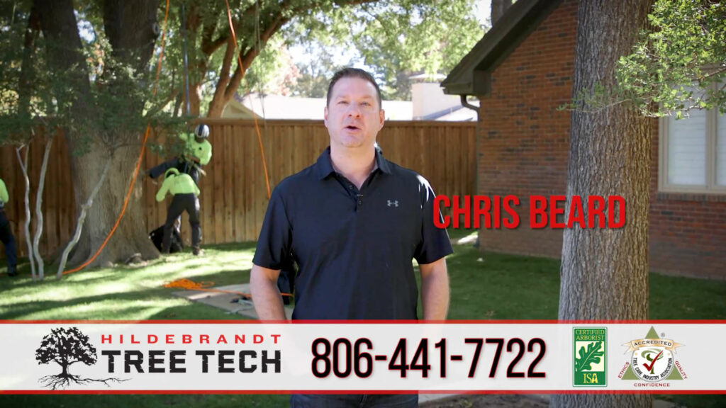 Hildebrandt Tree Tech Tree Trimming & Removal in Lubbock TX