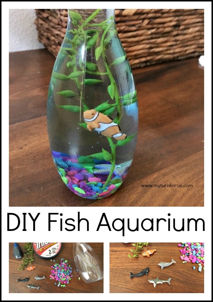 DIY Mini Fish Aquarium My Turn for Us