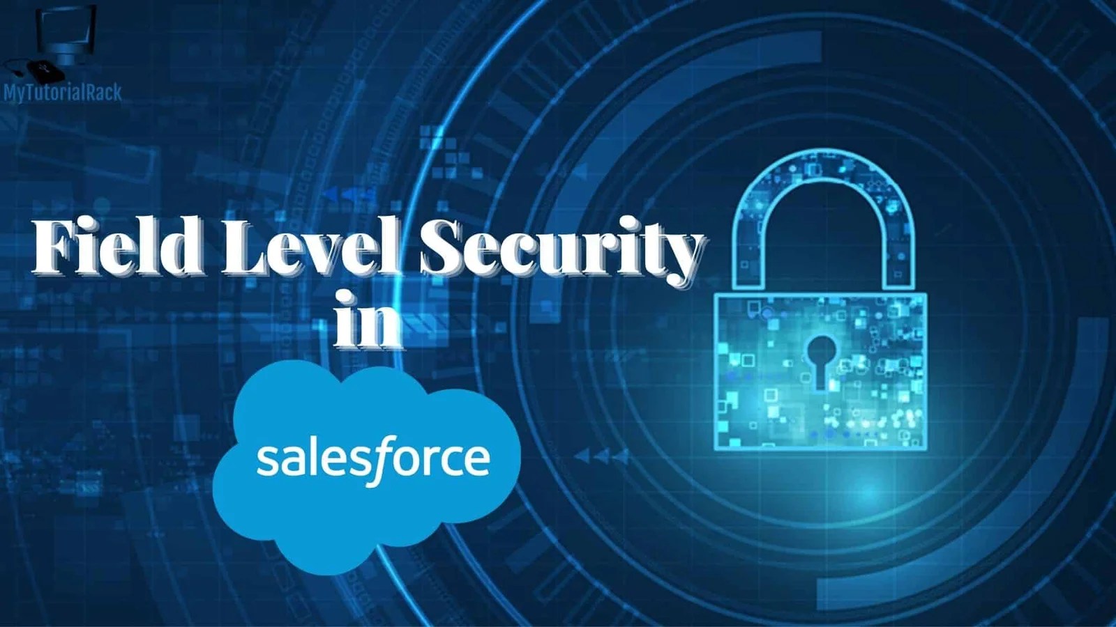 Field Level Security in Salesforce