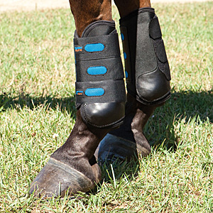 Leg Protection For the Event Horse
