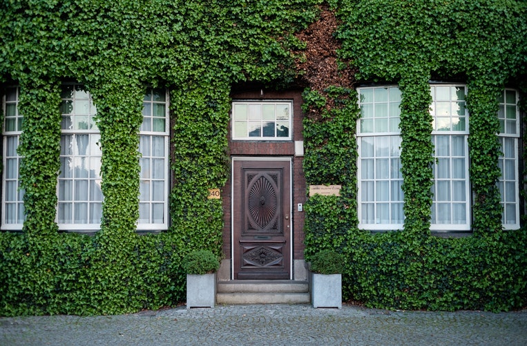 3 Types of Green Wall Systems