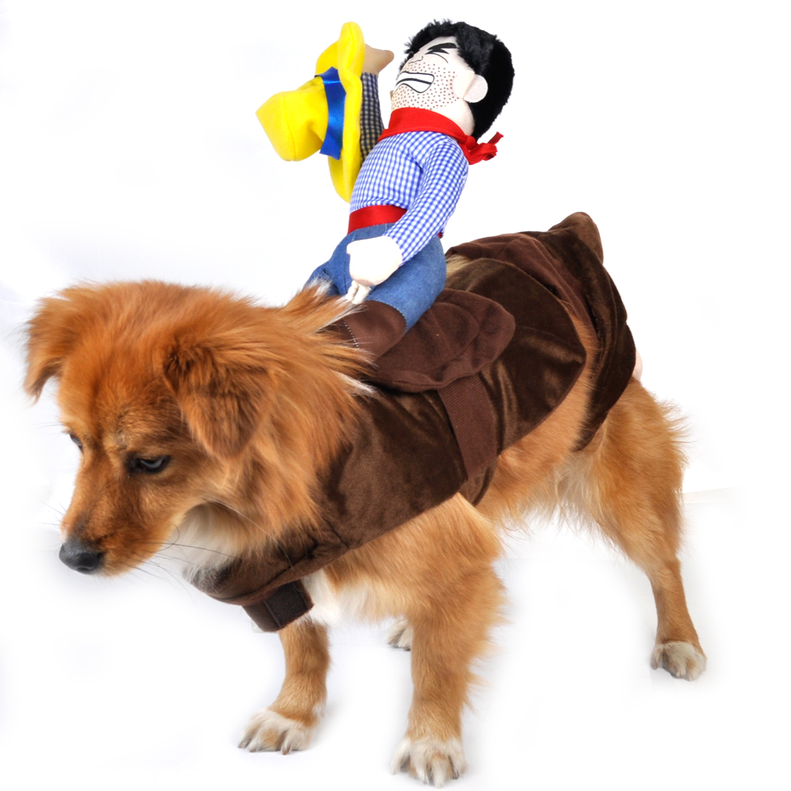 Pet Dog Rider Costume Cowboy Knight Puppy Cat Coat Rider Bobble Clothes