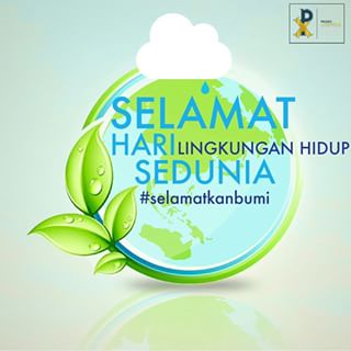Dalam Rangka Hari Lingkungan Hidup Sedunia 2015, Karang Taruna Waharia Nabire Akan Menanam 2200 Pohon Mangrove