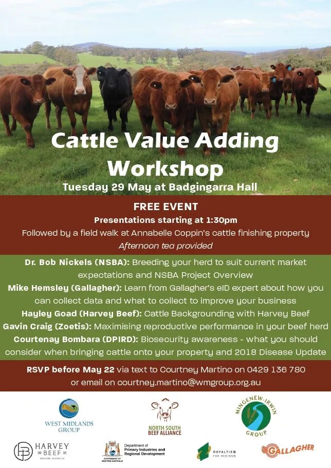 Cattle Value Adding NACC Northern Agricultural Catchments