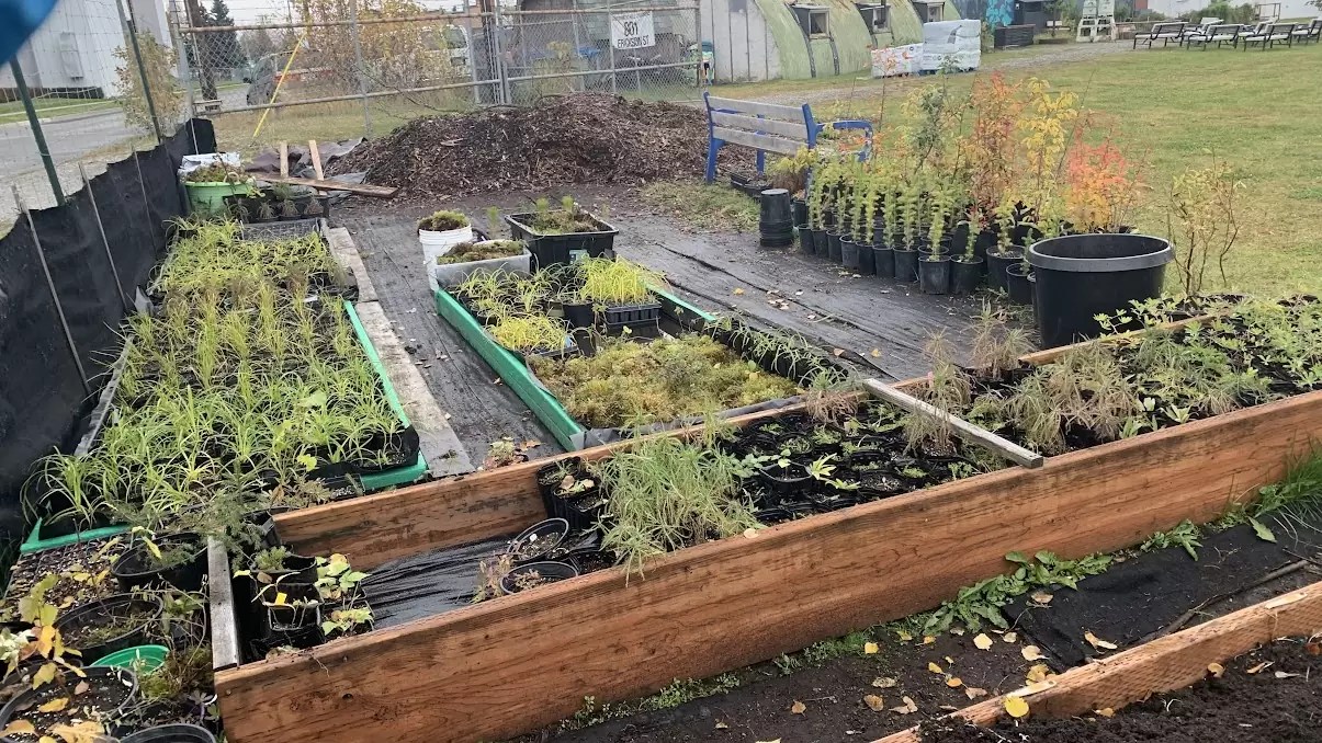 Anchorage SWCD Cultivating Alaska’s Future NACD