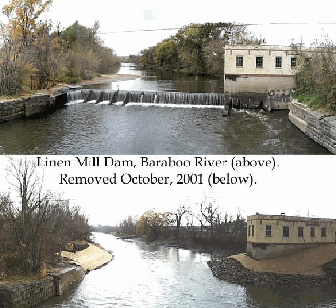 Dam Removal. An Effective River Restoration Tool in Wisconsin, U.S.A.