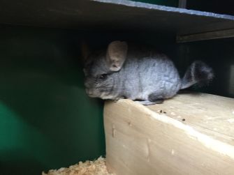 unspecified-5 unspecified-5