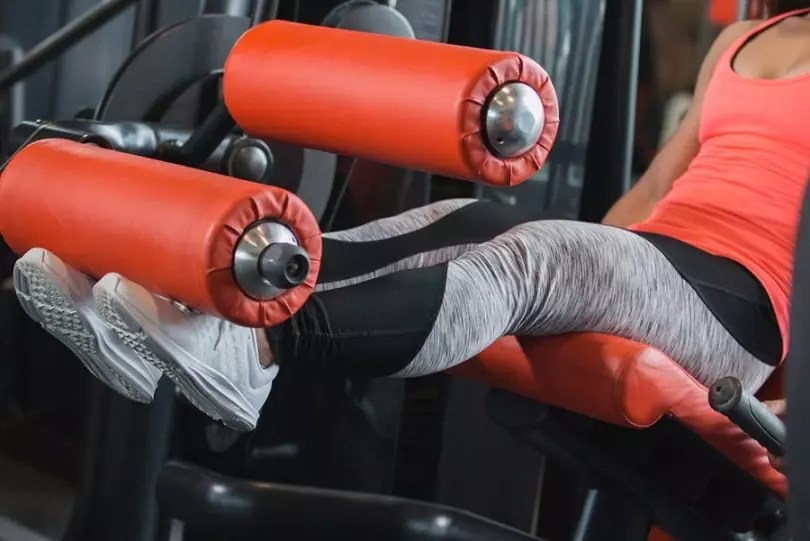 Best Multi Gym Workout Exercises NaijaTechGuide