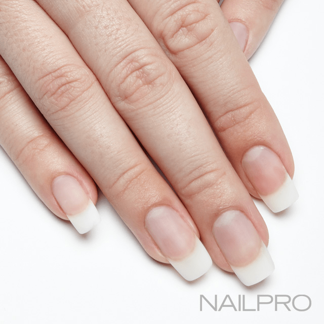 Acrylic Nail Apex