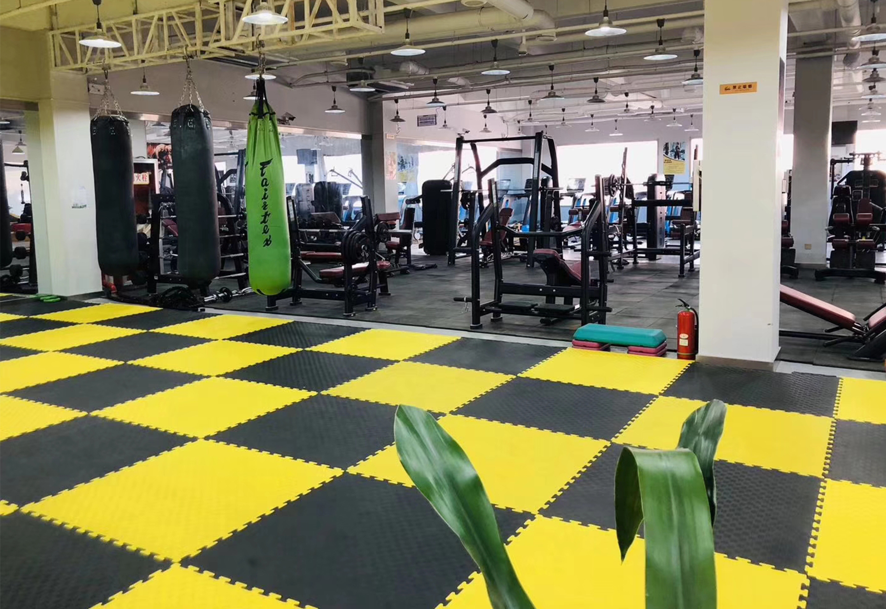 China Puzzle Exercise Mat,Interlocking Foam mats,EVA Foam Interlocking