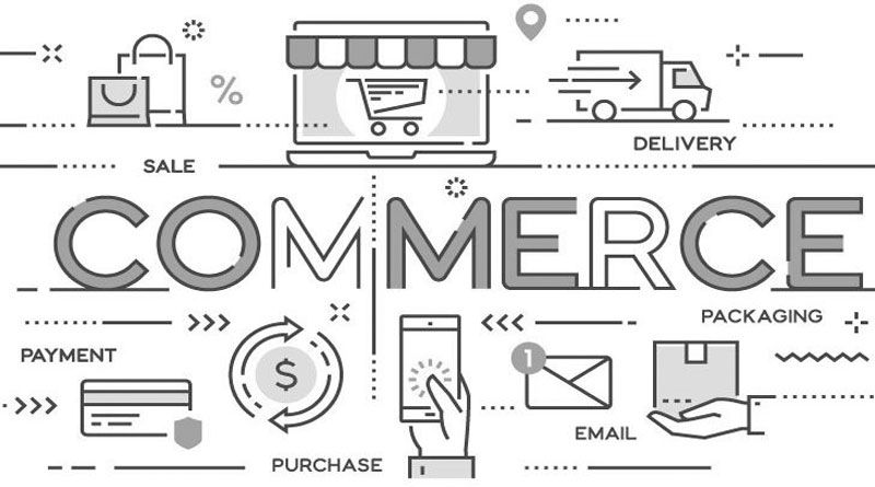 Bachelor of Commerce Degree Programs Alberta School of.