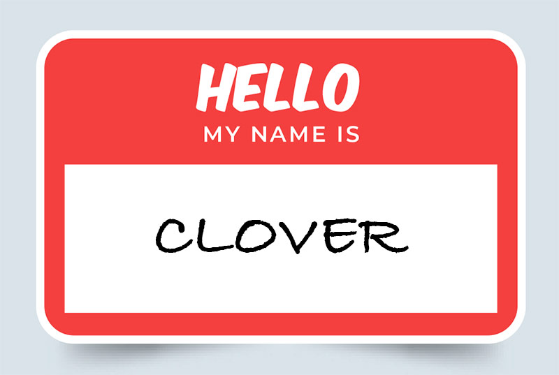 Clover Name Meaning Origins and Significance