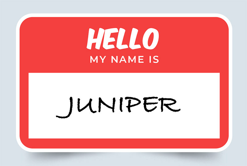 Juniper Name Meaning Origin, Significance, and Popularity