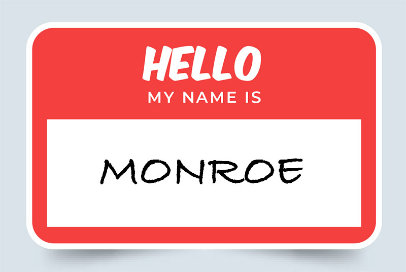 Monroe Name Meaning Origin and Significance