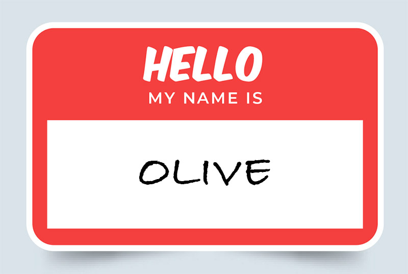 Olive Name Meaning Origins and Significance
