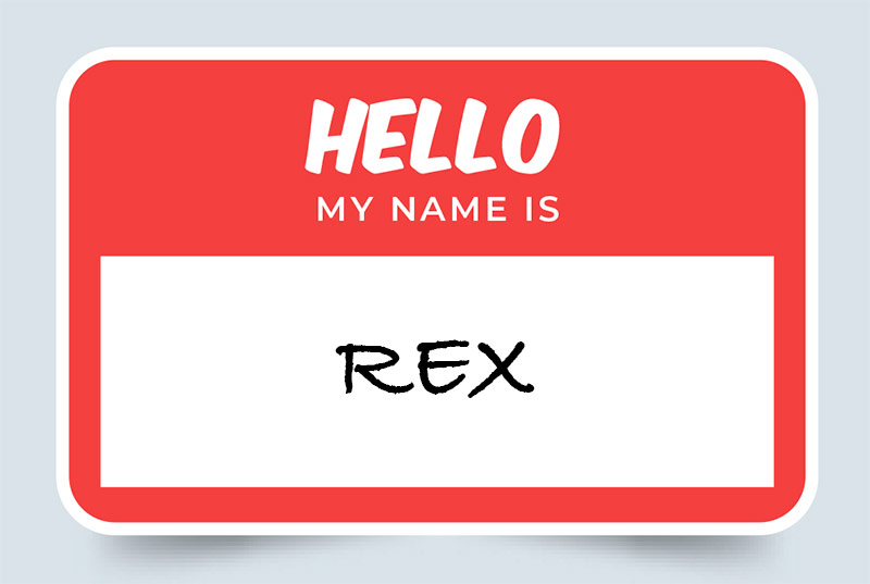 Rex Name Meaning Origin and Significance