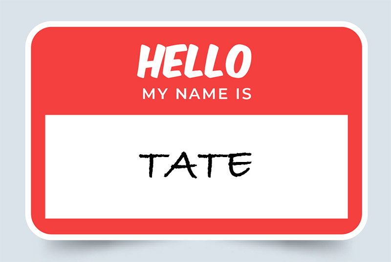 Tate Name Meaning Origins and Significance