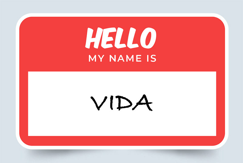 Vida Name Meaning Origins and Significance
