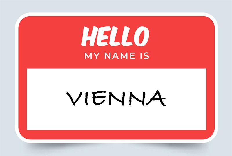 Vienna Name Meaning Origins and Significance