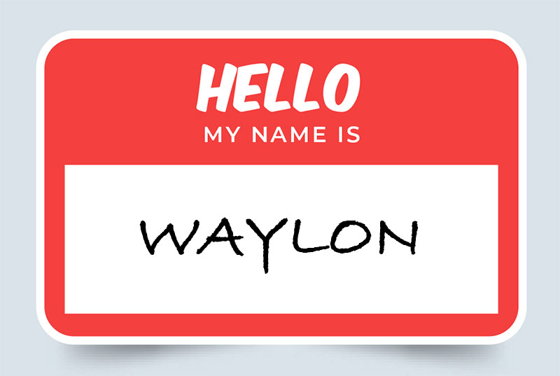 Waylon Name Meaning Origin and Significance