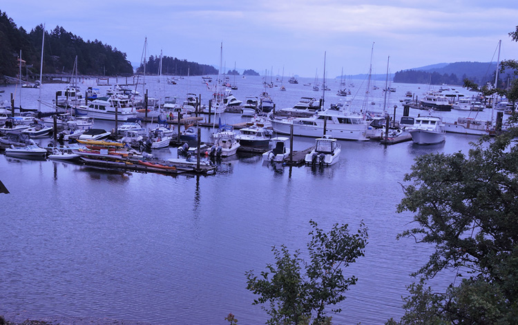 Yacht Destinations Around Vancouver Island Yacht Charters