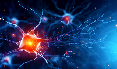 Overworked Mind Cells Might Maintain the Key to Parkinson’s – NanoApps Medical – Official web site