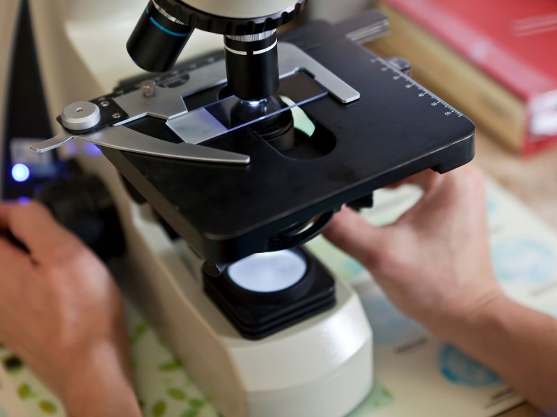 High Power Microscopes How to Choose the Right Scanning Electron