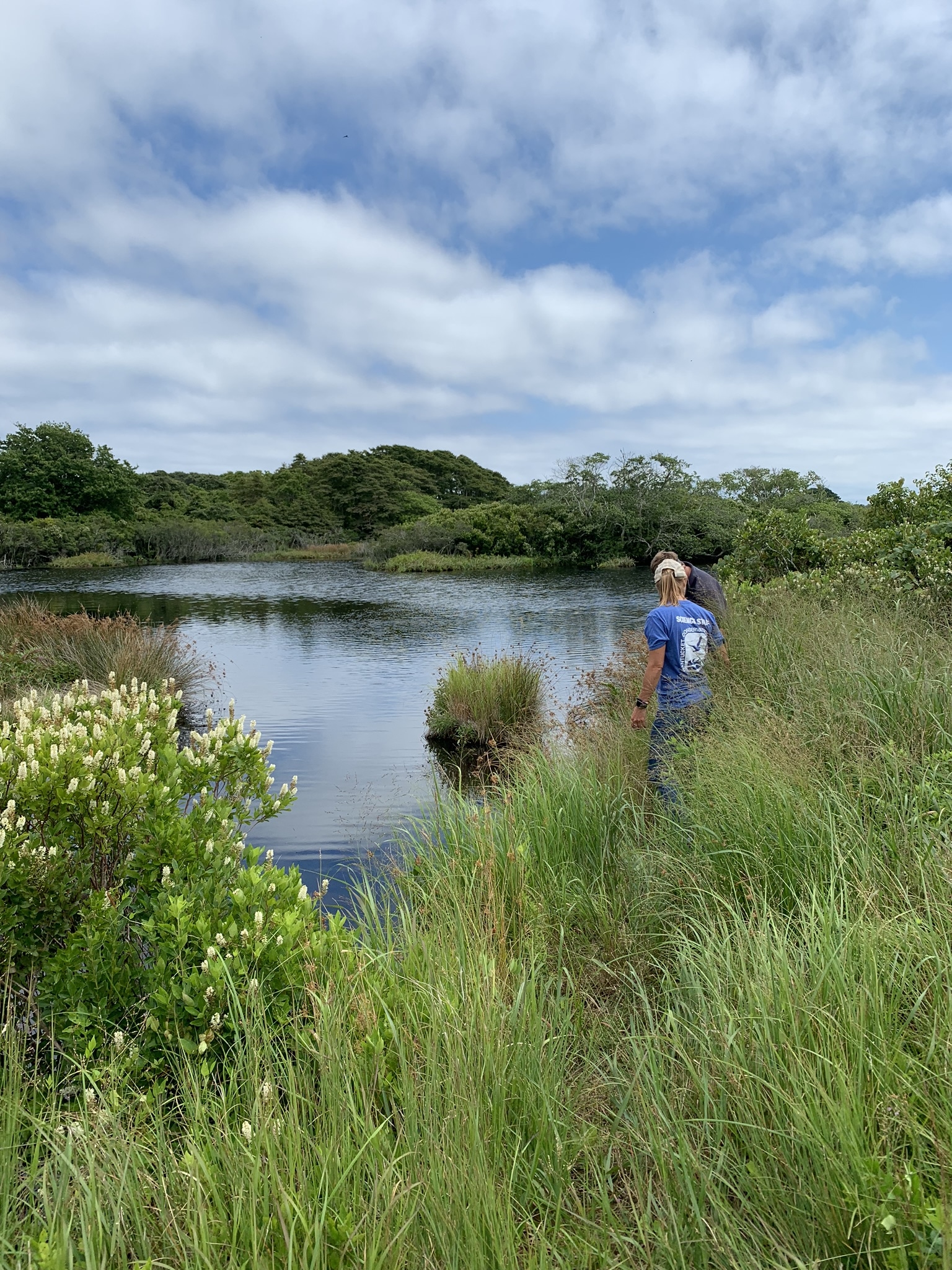 Windswept Board Visit 2019 JMK Nantucket Conservation Foundation