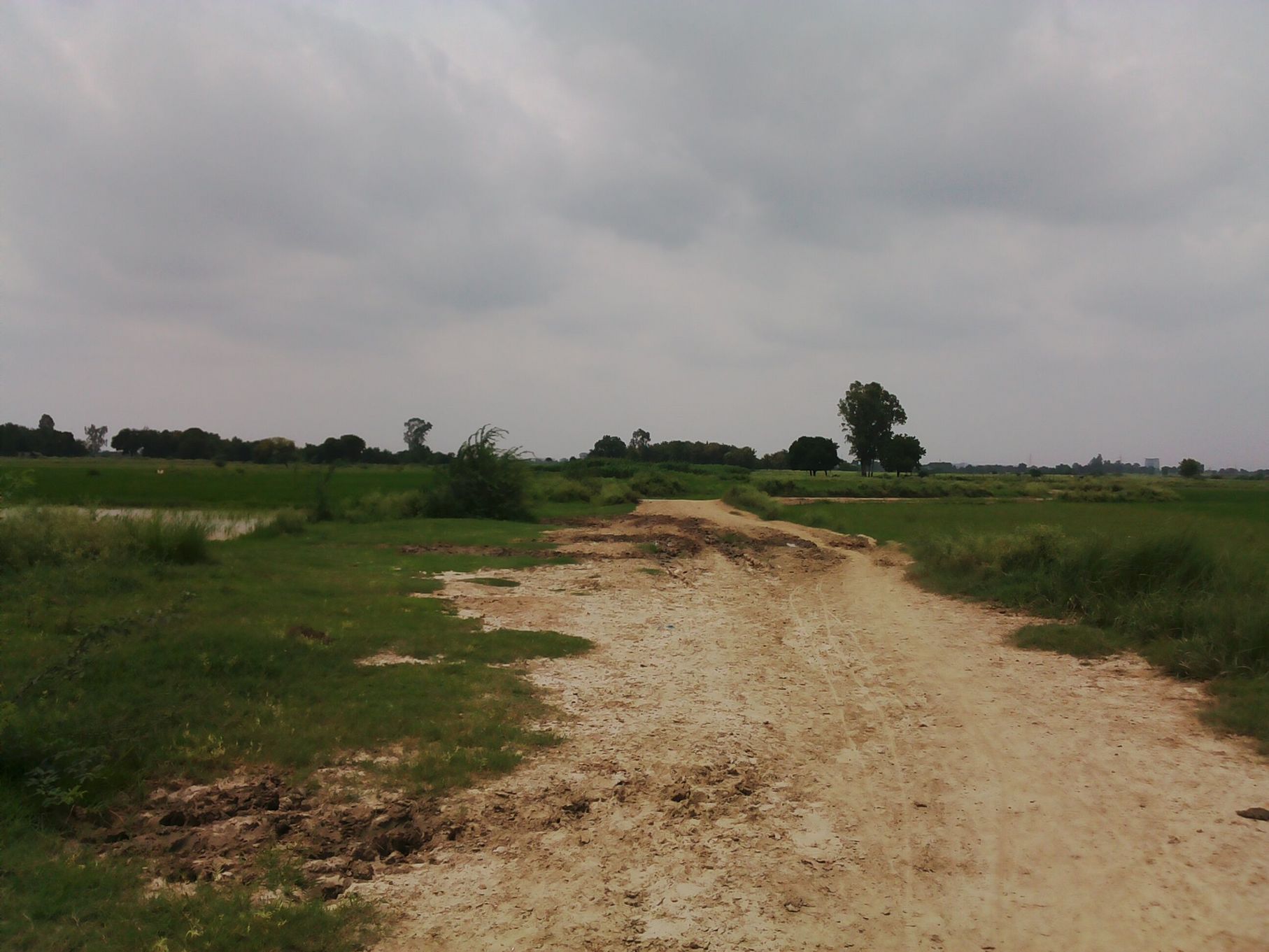 Residential Plot / Land for sale in Gomti Nagar Lucknow 2400 Sqft