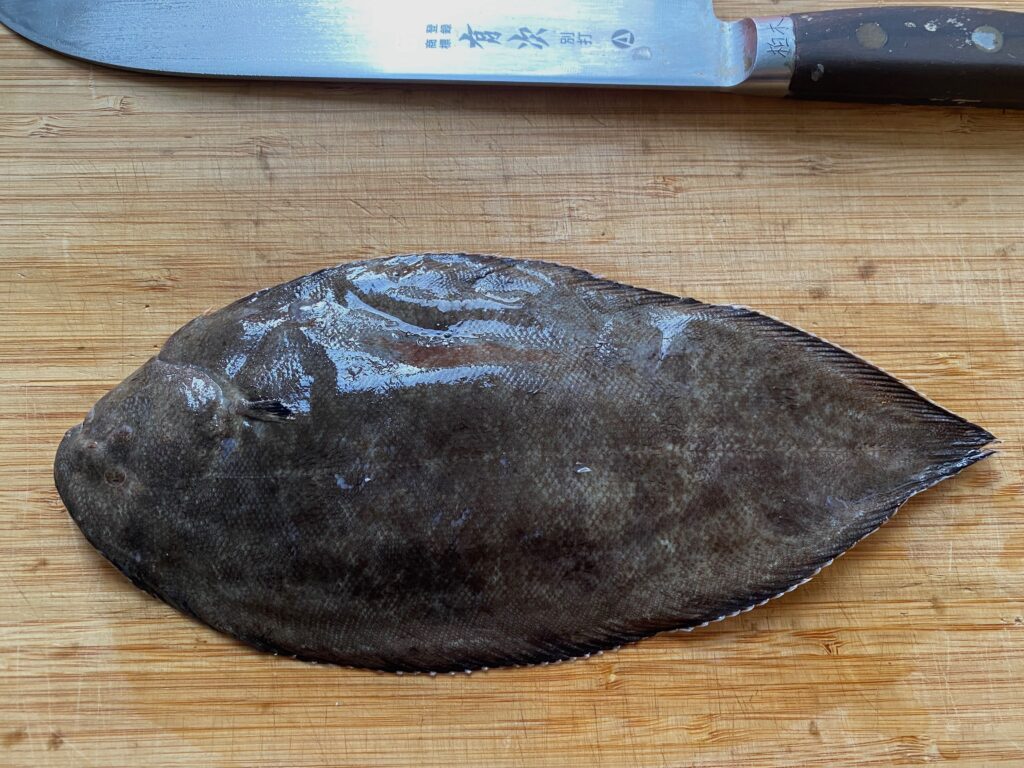 Hirame no Nitsuke (Soy Braised Sole), Sawara no Saikyo Yaki (Saikyo
