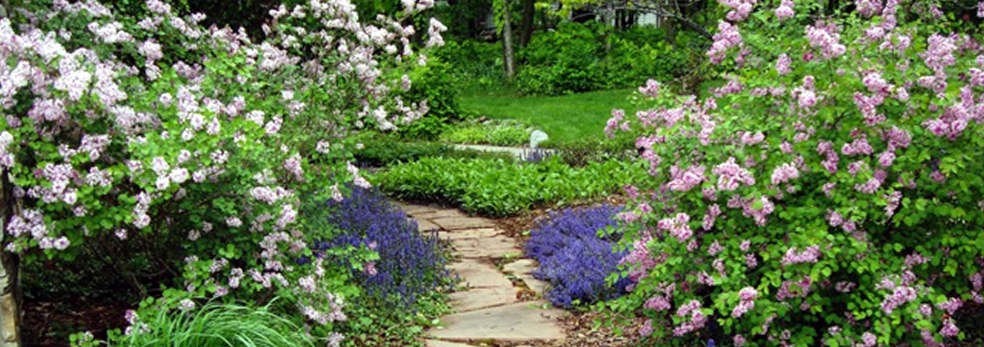 Napa Valley Estates in Wauke, IA