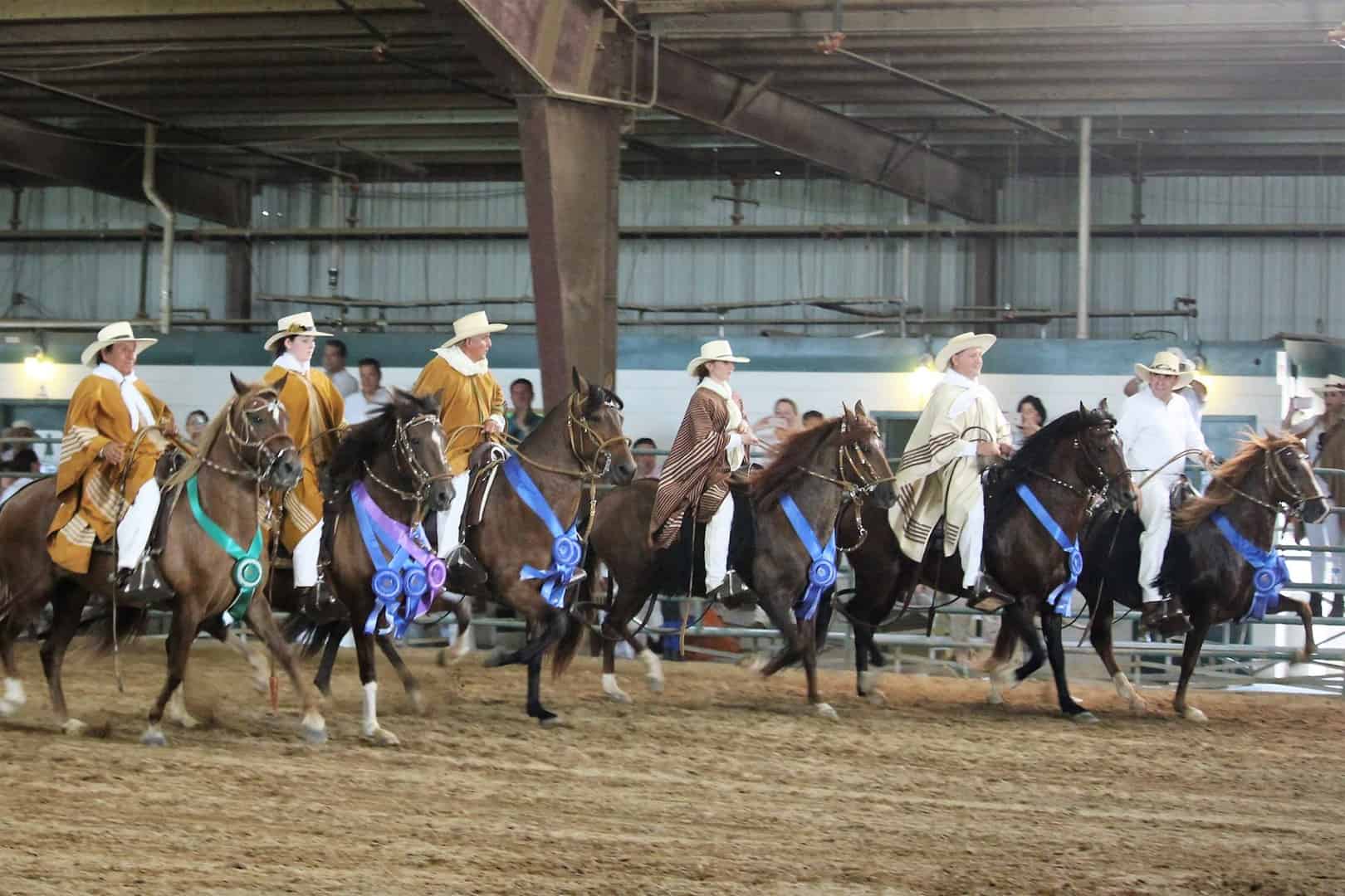 Mid Atlantic Peruvian Horse Club North American Peruvian Horse