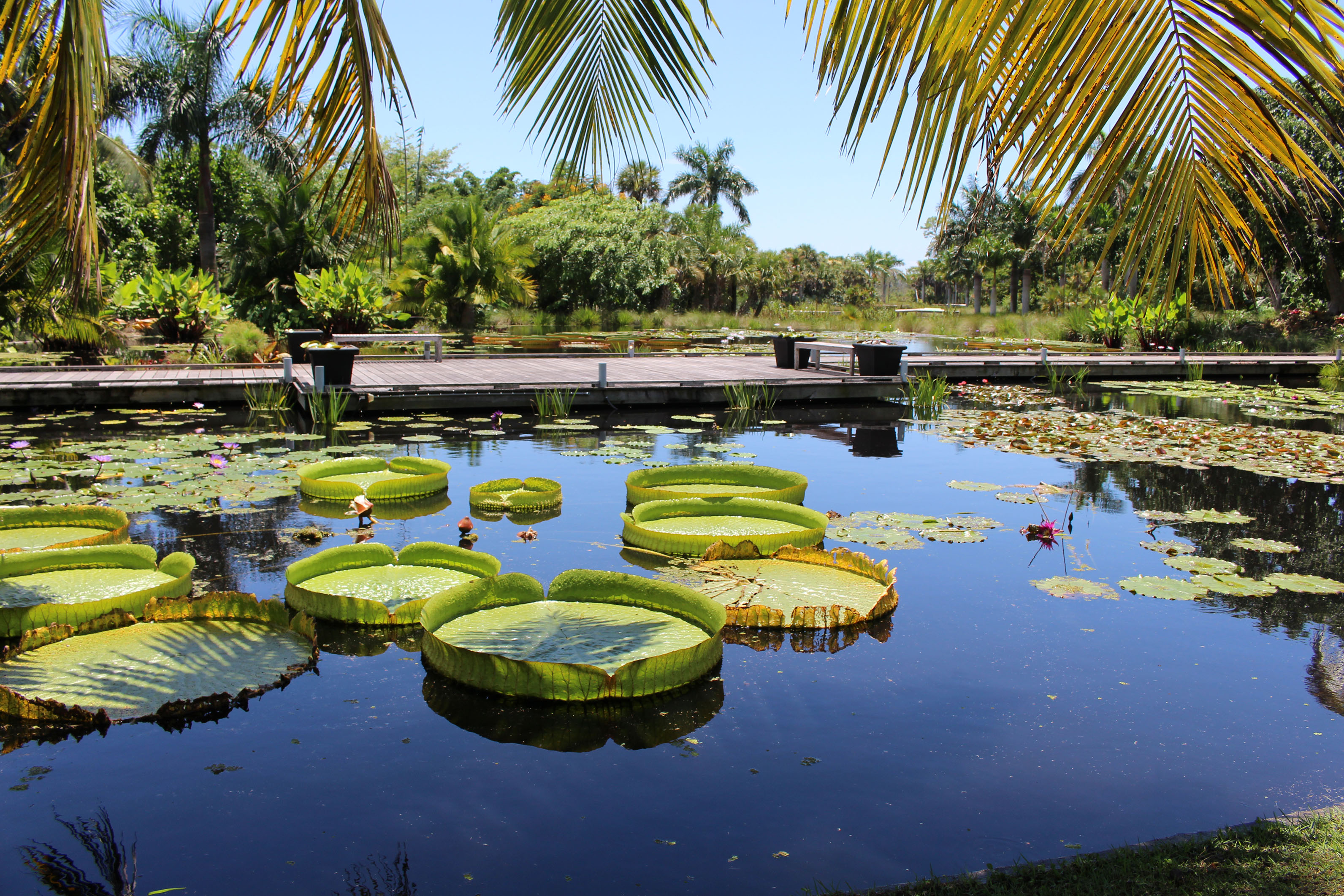 7 Best Things To Do in Naples